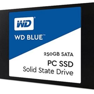 Western Digital Blue 250GB Internal Solid State Drive