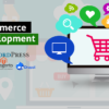 Ecommerce Website Development Delhi Nehru Place