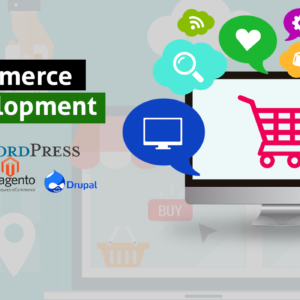 Ecommerce Website Development Delhi Nehru Place