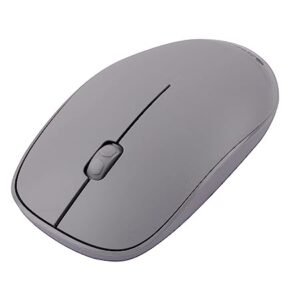 ZEBRONICS Zeb- Haze Wireless Mouse