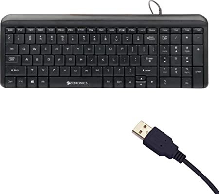Zebronics USB Keyboard with Rupee Key,