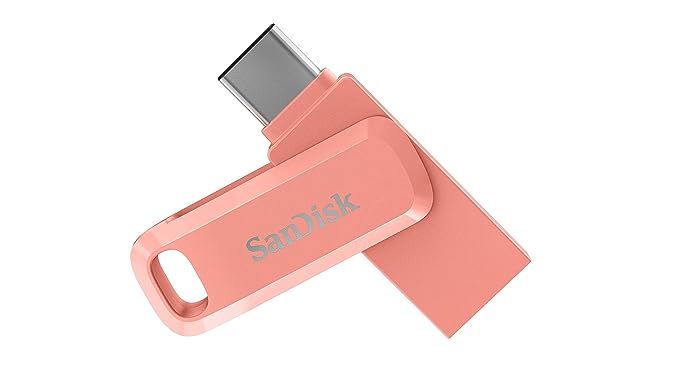 SanDisk Ultra USB 3.0 Dual Drive Go Type C Flash Drive