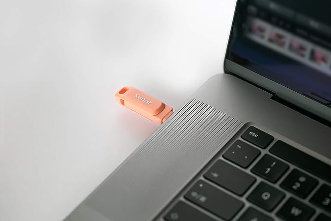 SanDisk Ultra USB 3.0 Dual Drive Go Type C Flash Drive