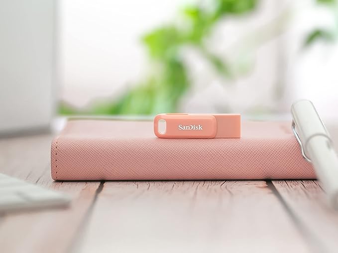 SanDisk Ultra USB 3.0 Dual Drive Go Type C Flash Drive