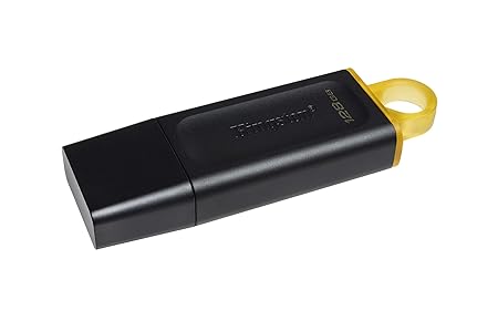 Kingston DataTraveler Exodia DTX/128 GB