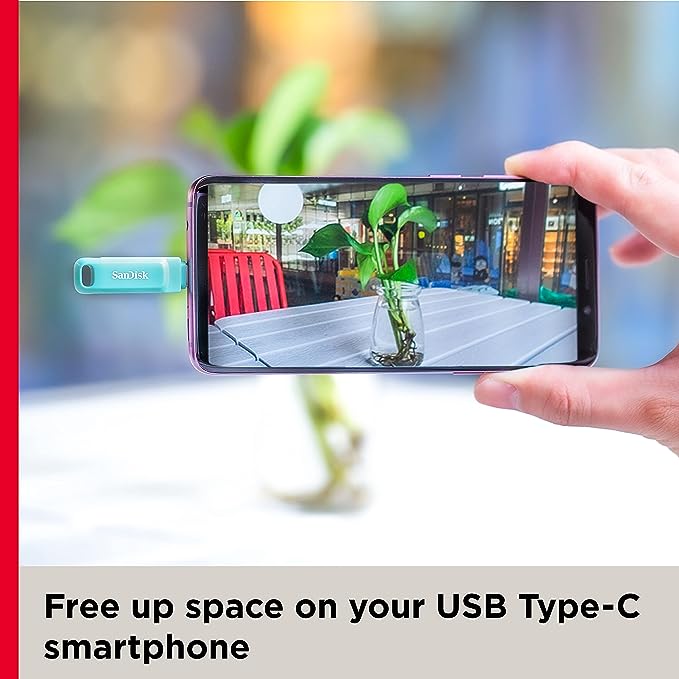 SanDisk Ultra Dual Drive Go 256GB USB 3.0 Type C Pen Drive