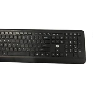 HP USB Wireless/Cordless Spill