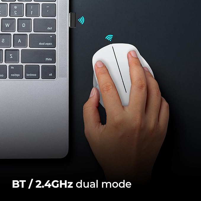 ZEBRONICS Dolphin Silent Wireless Mouse