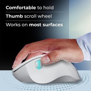 ZEBRONICS Dolphin Silent Wireless Mouse
