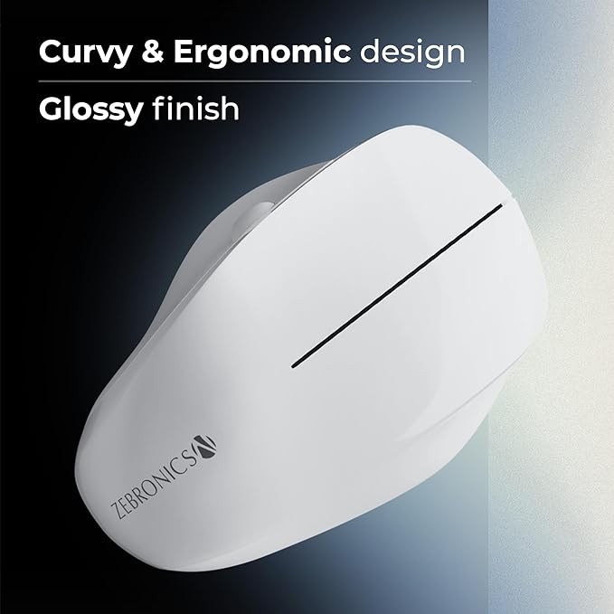 ZEBRONICS Dolphin Silent Wireless Mouse