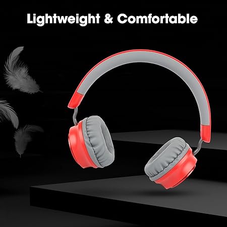 ZEBRONICS Zeb Bluetooth Headphone