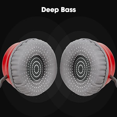 ZEBRONICS Zeb Bluetooth Headphone