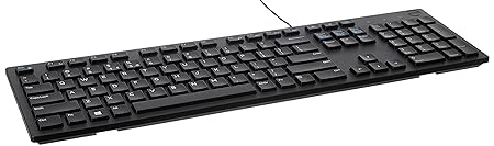 Dell 24 FHD Monitor