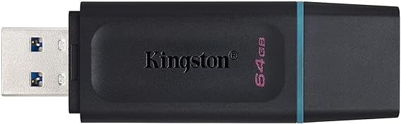 Kingston DataTraveler 3.2 Flash Drives