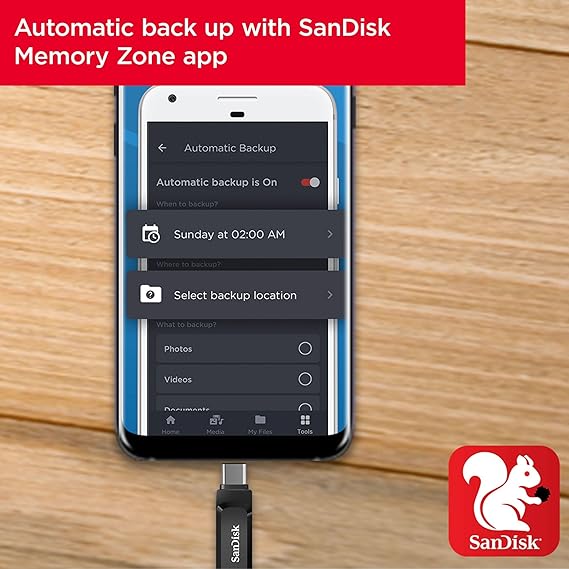SanDisk 256GB Ultra Dual DriveĀ