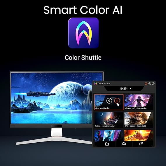 BenQ Gaming Monitor