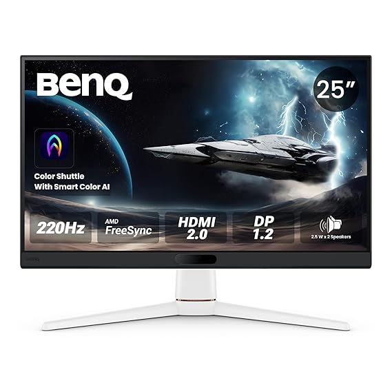 BenQ Gaming Monitor
