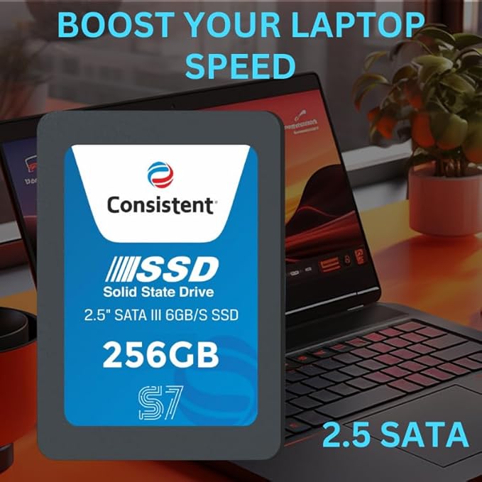 Consistent 256GB SATA Internal SSD