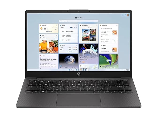 HP 255 G10 Business Laptop
